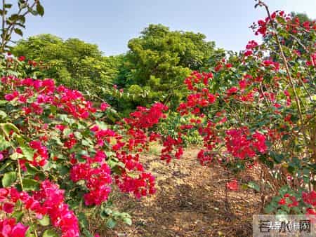 你有没有发现，孩子每到睡前就有说不完的话？