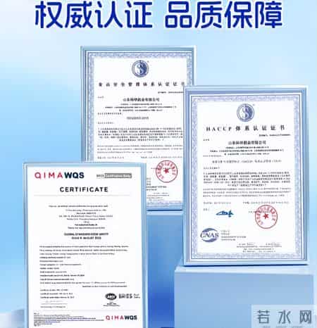 全球十大DHA品牌：国际热门品牌盘点，先进科技萃取纯净易吸收