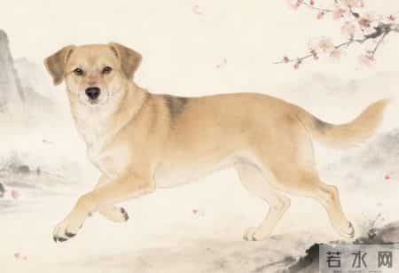 戌狗惊心一刻：1月8日这事儿终于藏不住了！是福是祸全看你怎么接