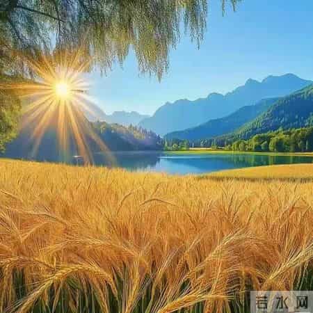 你相信吗？老天爷已为你家孩子点亮了一条光明大道，谁也挡不住！