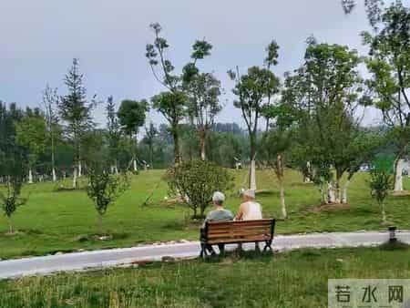 老了只剩自己别怕！守住这5条底线，独居生活照样过成诗和远方