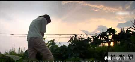 当父母忽视孩子的情感需求，养出长期缺爱的孩子