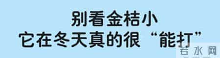 冬天一定要给宝宝吃的水果，它真的很被低估