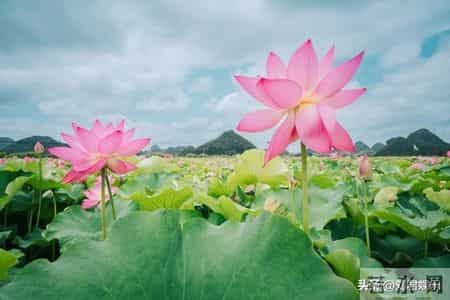 人过七十，最大的聪明是“薄情”：哪怕亲戚再亲，也不要主动