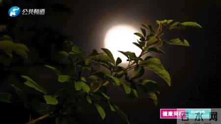 以术立身 以善立德：河南襄城县颍阳镇槐树王村一分室 军都鼻炎堂王军都