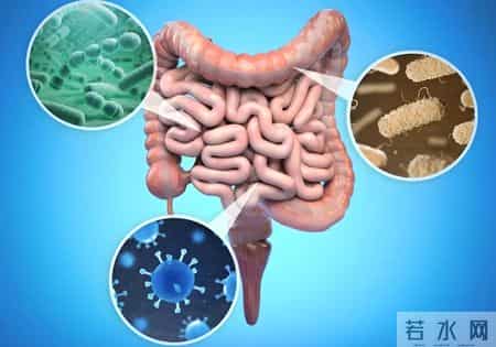 研究表明：天天走路锻炼的骨质疏松患者，不用多久，或迎来5变化