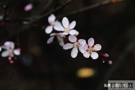 退休了，只要你不入任何的局，你将活得很自在