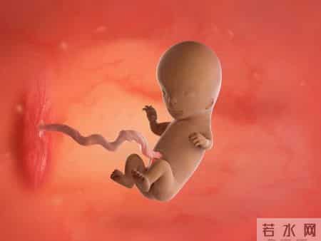 怀孕1-40周，胎儿发育每周变化！孕妈妈的干货科普