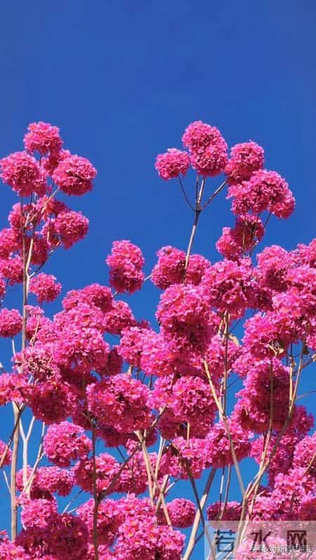 如果不差钱，退休后首选这6座城市过冬，物价不高，慢生活最养老