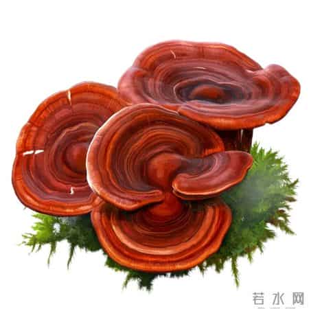 一听到“血液病”就慌？别怕这4种常见类型，管好了和正常人一样