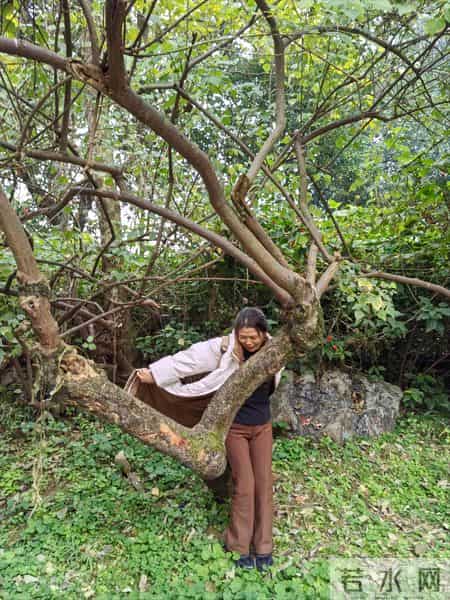 我退休5年今年55岁，不是因为穷，而是节约，保持了以下这些习惯