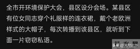 体制内着装最忌讳的是什么？网友"八神庵"式回答，我长见识了