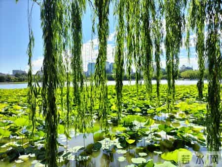 为孩子接住“干啥都顺”：不是迷信，是给成长装“顺劲”的小技巧