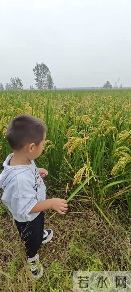 把日子过成一首无忧无虑的歌