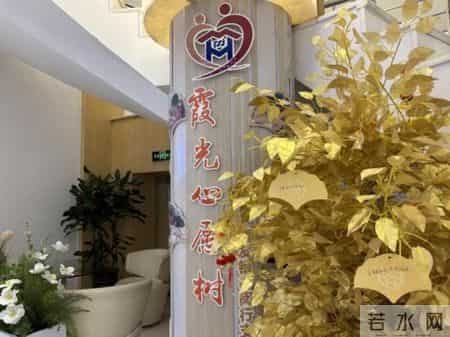 情暖银龄，服务适老更贴心——浦发银行上海分行全力打造老年友好网点