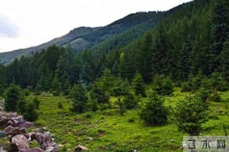 改变一个孩子最有效的手段，不是讲道理、发脾气，而是这两个字