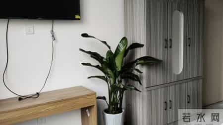 德阳中江通济医院～我妈妈最后的归属