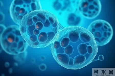 调查发现：每次睡前玩手机的人，不出几个月，睡眠或有4变化