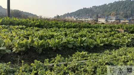 德阳中江通济医院～我妈妈最后的归属