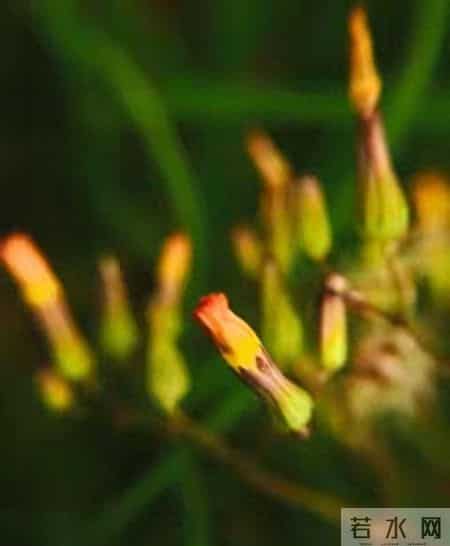 恭喜你！明天就是你家孩子好运的开始，千万别错过！