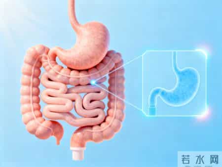 晚饭七分饱被推翻了？医生调查：过了52岁，吃饭尽量要做到这6点