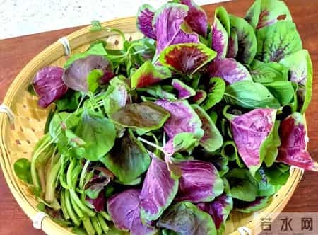 叶酸大户被发现，是萝卜5倍！补气养血，增强免疫，延年益寿