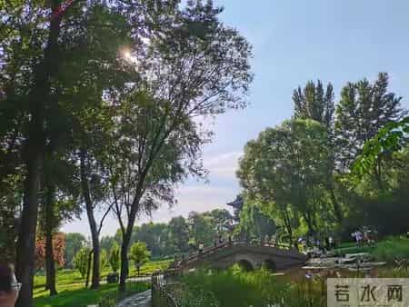 职场中，做事漂亮不如处事漂亮