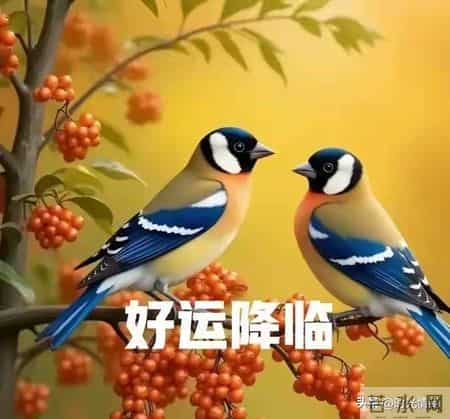 别不信！你家孩子这些"天生好命"特质，注定未来顺风顺水