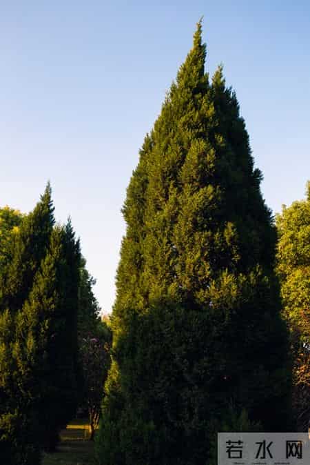 心灵于释然中解放，人生在放下后丰盈