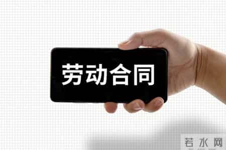 公司合法开除员工成功案例26010703