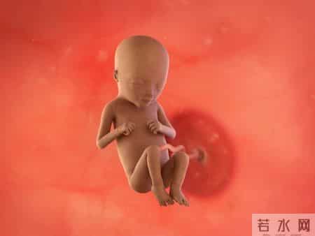 怀孕1-40周，胎儿发育每周变化！孕妈妈的干货科普