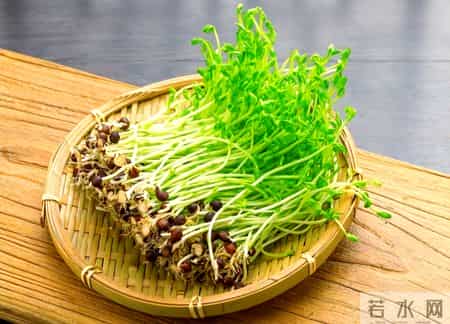 叶酸大户被发现，是萝卜5倍！补气养血，增强免疫，延年益寿