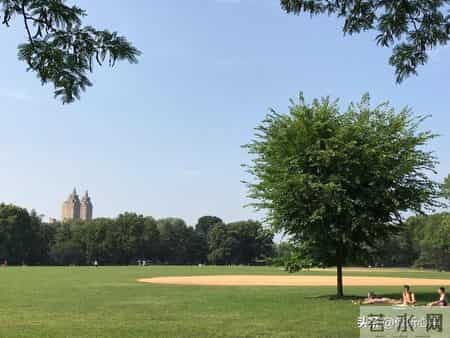 七十岁后最怕什么？这5个养老雷区，90%的家庭都踩过