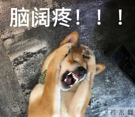 睡着后一整夜无梦vs做了一夜梦，到底哪个身体更健康？