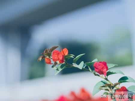 70岁大爷忠告-子女再孝顺也别住在一起，这3个弊端太现实