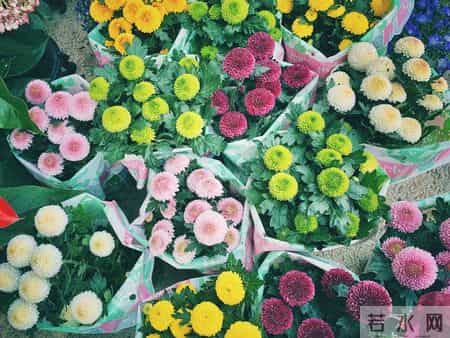 《培养孩子独立思考》的能力。