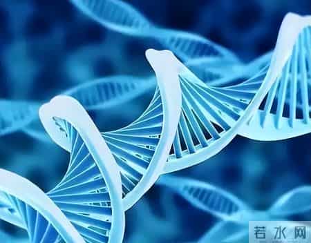 人人都怕癌，但癌细胞怕的这4种食物！每天吃一点，癌症绕或道走