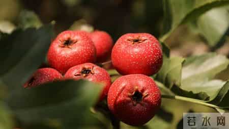 进入一年中最冷阶段！中医专家提醒：多吃这些、少干这些