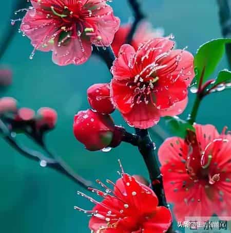 你的好运气藏在你的实力里，也藏在你不为人知的努力里