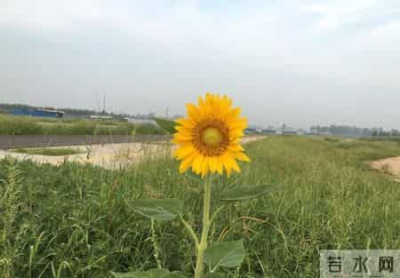 人际交往大忌，不要轻易让别人知道，你与谁有矛盾