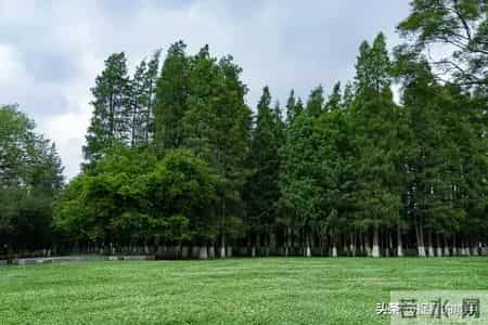 孩子这些“怪癖”别急着管，可能是聪明苗头，越接纳越优秀