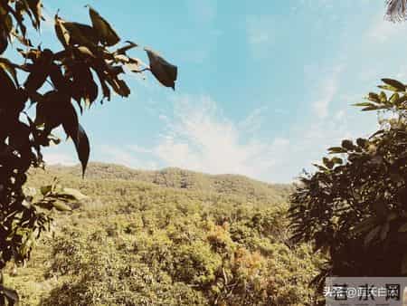 一段很现实的话：有孙子的晚年和没孙子的晚年，过的是两人生