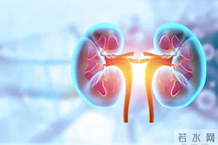 鸡蛋当早餐被推翻了？医生调查：过了52岁，吃鸡蛋尽量做到这6点