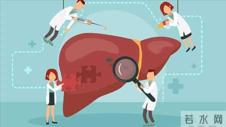 肝癌进展 5 个预警信号！忠告：出现一个就就医，别错过干预时机