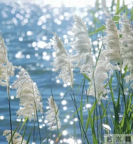 对付背后捅刀的同事，往死里整一个，众生皆服