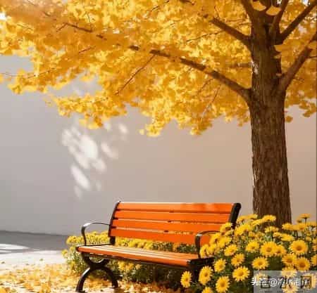 4位同学退休2年病倒两个后，我发现：没特殊经济困难，还是躺平好