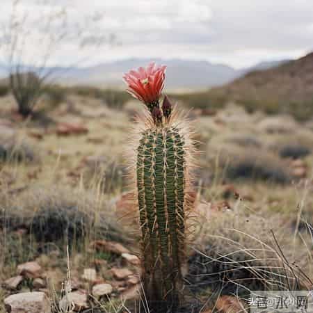 五位同学退休3年病倒2个后，我觉得：没特殊经济困难，还是躺平好