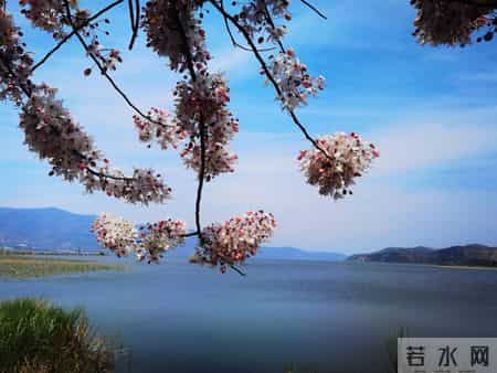 我靠“AI+”工资翻倍：亲身验证的三大工具与路径