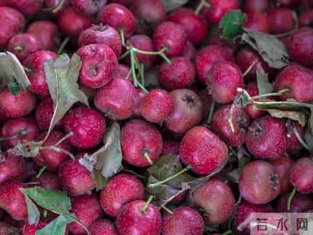 加快脑梗恶化的原因：不戴帽子仅第4，排第1的，很多人没发觉