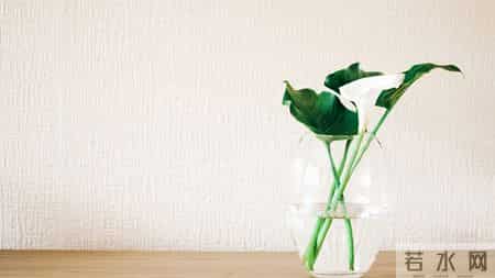 1月9日，星期五，巳蛇，有事要浮出水面了！